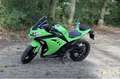 Kawasaki Ninja 300 ABS/ topstaat / bj2016 Groen - thumbnail 1
