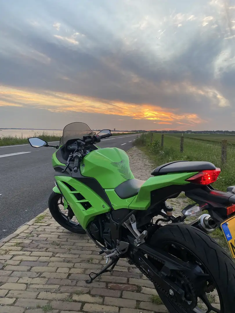 Kawasaki Ninja 300 ABS/ topstaat / bj2016 Groen - 2