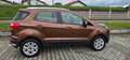 Ford EcoSport ECOSPORT*1.0*TREND*1.Hand*Rentner*SHZ*AHK*Klima* Braun - thumbnail 9