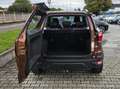 Ford EcoSport ECOSPORT*1.0*TREND*1.Hand*Rentner*SHZ*AHK*Klima* Braun - thumbnail 16