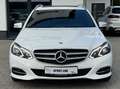 Mercedes-Benz E 350 BlueTec 4Matic AHK Navi Tempomat Blanc - thumbnail 8