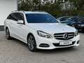 Mercedes-Benz E 350 BlueTec 4Matic AHK Navi Tempomat Blanc - thumbnail 7