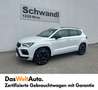 CUPRA Ateca 1.5 TSI DSG 150 Weiß - thumbnail 2