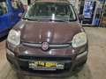 Fiat Panda Panda 1.2 Lounge 69cv Marrone - thumbnail 6