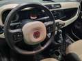 Fiat Panda Panda 1.2 Lounge 69cv Marrone - thumbnail 15