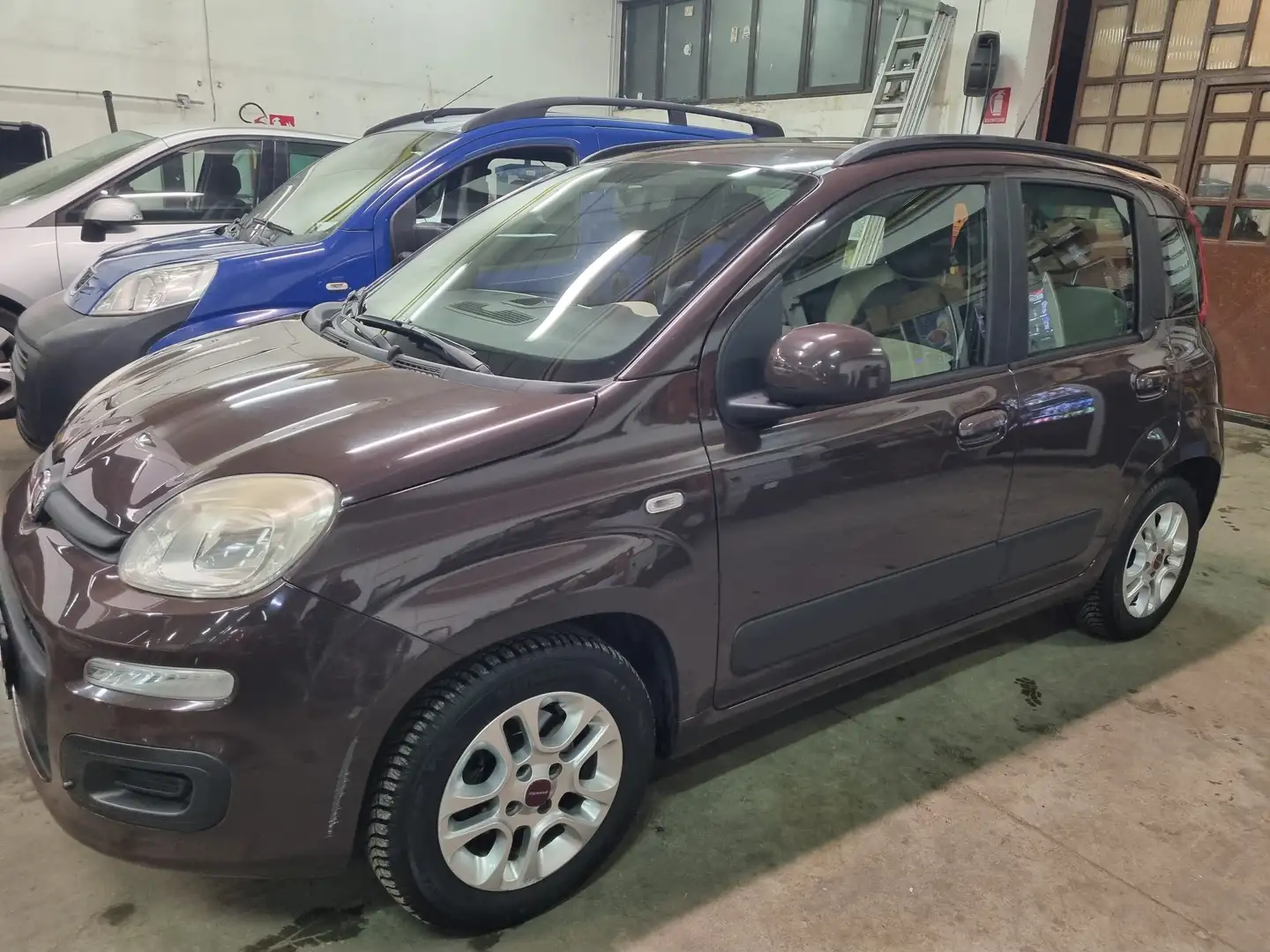 Fiat Panda Panda 1.2 Lounge 69cv Marrone - 2