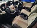 Fiat Panda Panda 1.2 Lounge 69cv Marrone - thumbnail 8