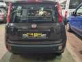 Fiat Panda Panda 1.2 Lounge 69cv Marrone - thumbnail 5
