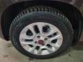 Fiat Panda Panda 1.2 Lounge 69cv Marrone - thumbnail 14