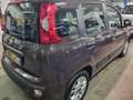 Fiat Panda Panda 1.2 Lounge 69cv Marrone - thumbnail 3