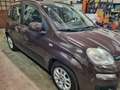 Fiat Panda Panda 1.2 Lounge 69cv Marrone - thumbnail 1