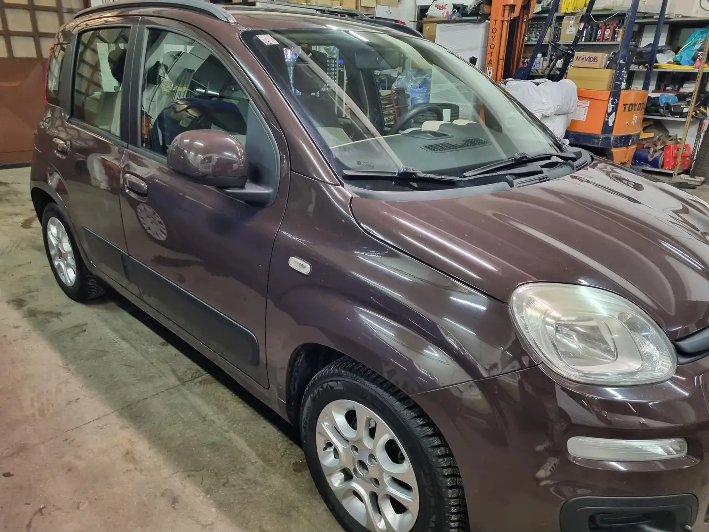 Fiat Panda Panda 1.2 Lounge 69cv Marrone - 1
