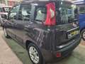 Fiat Panda Panda 1.2 Lounge 69cv Marrone - thumbnail 4