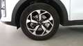 Kia Sportage 1.6 gdi Style 2wd 132cv Weiß - thumbnail 12