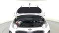 Kia Sportage 1.6 gdi Style 2wd 132cv Weiß - thumbnail 11
