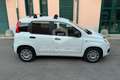 Fiat Panda Panda 1.0 GSE S&S Hybrid Easy Van 4 posti Blanc - thumbnail 4