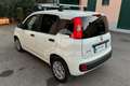 Fiat Panda Panda 1.0 GSE S&S Hybrid Easy Van 4 posti Blanc - thumbnail 7