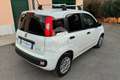 Fiat Panda Panda 1.0 GSE S&S Hybrid Easy Van 4 posti Blanc - thumbnail 5