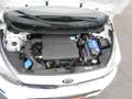 Kia Picanto Dream Team AUTOMATIK KAMERA NAVI SITZH. LENRADH. Blanc - thumbnail 23