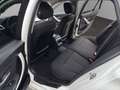 BMW 318 d Touring*KLIMAAUT*NAVI*HUD*PDC*MFL*TEMPOMAT* Blanc - thumbnail 13