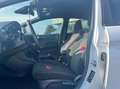 Ford Fiesta Fiesta 5p 1.0 ecoboost h ST-Line 125cv Blanc - thumbnail 5