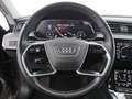 Audi e-tron 55 quattro 95kWh Aut MATRIX 360-CAM SKY Grey - thumbnail 22