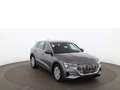 Audi e-tron 55 quattro 95kWh Aut MATRIX 360-CAM SKY Grey - thumbnail 6
