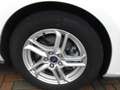 Ford Focus 1.5 EcoBlue 120 CV SW Business- CO-PILOT E6D-TEMP Blanc - thumbnail 5