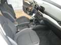 Ford Focus 1.5 EcoBlue 120 CV SW Business- CO-PILOT E6D-TEMP Blanc - thumbnail 13