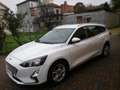 Ford Focus 1.5 EcoBlue 120 CV SW Business- CO-PILOT E6D-TEMP Blanc - thumbnail 6
