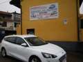 Ford Focus 1.5 EcoBlue 120 CV SW Business- CO-PILOT E6D-TEMP Blanc - thumbnail 3