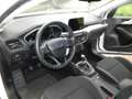 Ford Focus 1.5 EcoBlue 120 CV SW Business- CO-PILOT E6D-TEMP Blanc - thumbnail 11