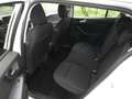 Ford Focus 1.5 EcoBlue 120 CV SW Business- CO-PILOT E6D-TEMP Blanc - thumbnail 12