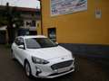 Ford Focus 1.5 EcoBlue 120 CV SW Business- CO-PILOT E6D-TEMP Blanc - thumbnail 1