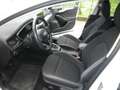 Ford Focus 1.5 EcoBlue 120 CV SW Business- CO-PILOT E6D-TEMP Blanc - thumbnail 10