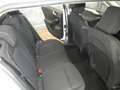 Ford Focus 1.5 EcoBlue 120 CV SW Business- CO-PILOT E6D-TEMP Blanc - thumbnail 14