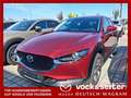 Mazda CX-30 G150 Comfort+/SO/ST Aut. Rot - thumbnail 1
