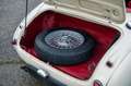 Austin-Healey 100 100/6 bn4 | Knock-off wire wheels Blanco - thumbnail 22