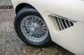 Austin-Healey 100 100/6 bn4 | Knock-off wire wheels Bianco - thumbnail 13