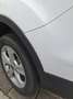 Ford Kuga Titanium Weiß - thumbnail 10