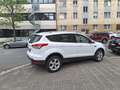Ford Kuga Titanium Weiß - thumbnail 3