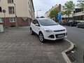 Ford Kuga Titanium Weiß - thumbnail 6