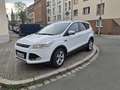 Ford Kuga Titanium Weiß - thumbnail 11