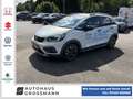 Honda Jazz e:HEV 1.5 i-MMD Hybrid Crosstar Advance Weiß - thumbnail 1