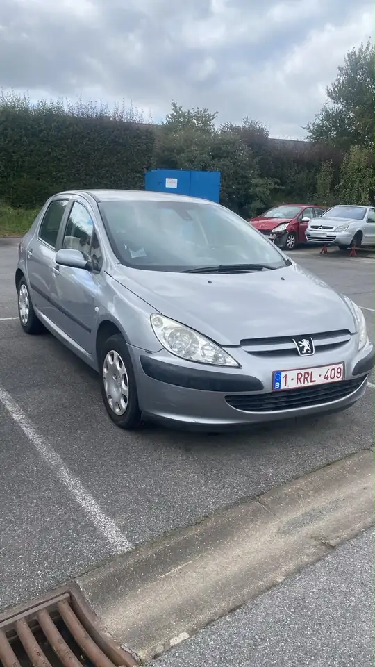 Peugeot 307