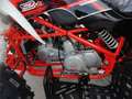 Altro QUAD - KAYO  150cc 4T. Racing STORM Arancione - thumbnail 9