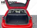 Ford Focus Turnier 1.5 EcoBoost Cool & Connect AHK*LM Rosso - thumbnail 6