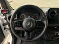 Mercedes-Benz Sprinter 316 CDI Kühlkoffer Carrier LBW Blanco - thumbnail 14