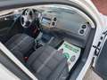 Volkswagen Tiguan 1,4 Benz/G.P.L. 4X4 ( TAGLIANDATO ) Alb - thumbnail 8