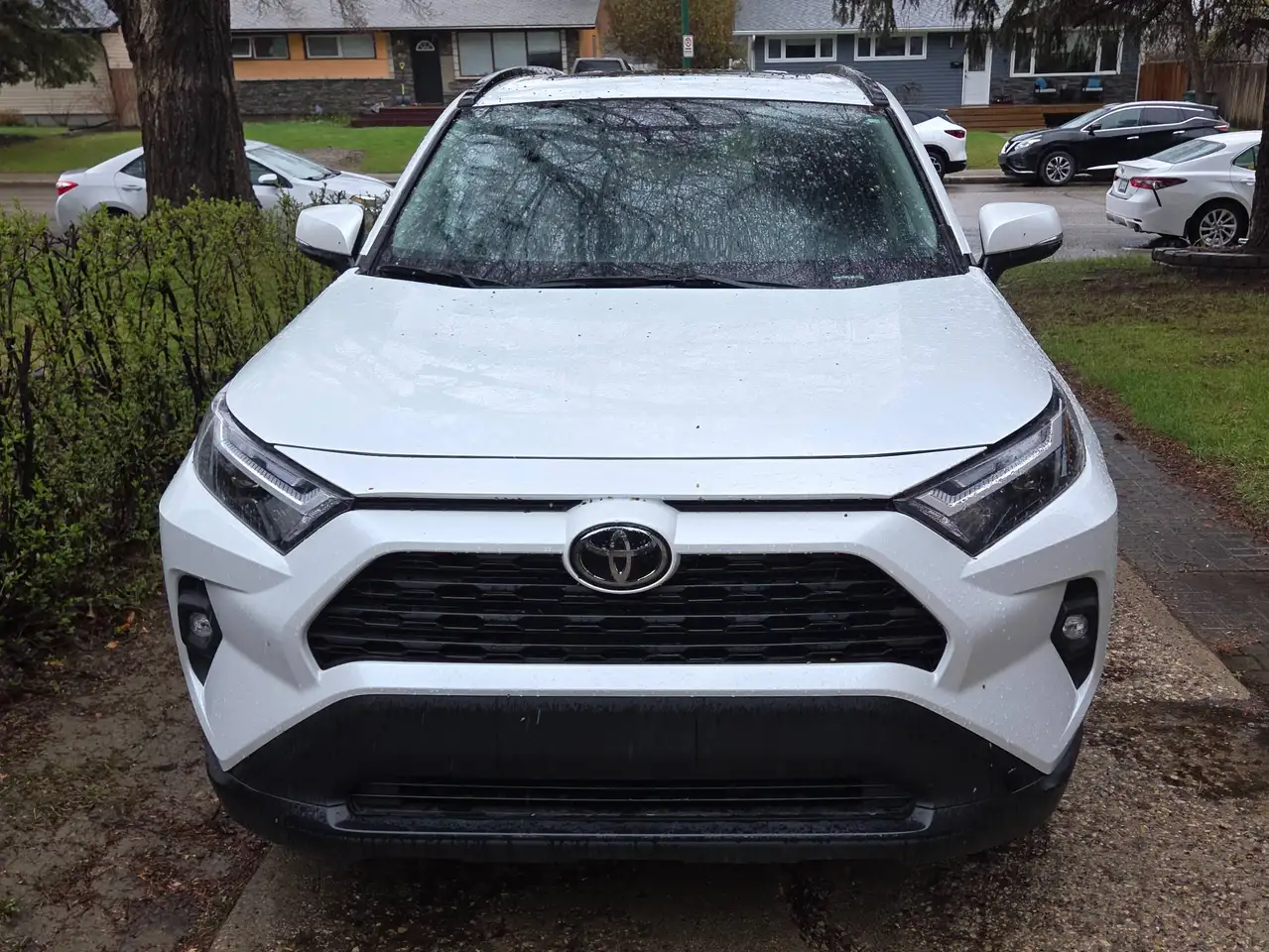2025 Toyota RAV 4